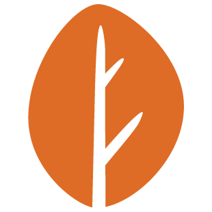 simpleplaybox.com favicon